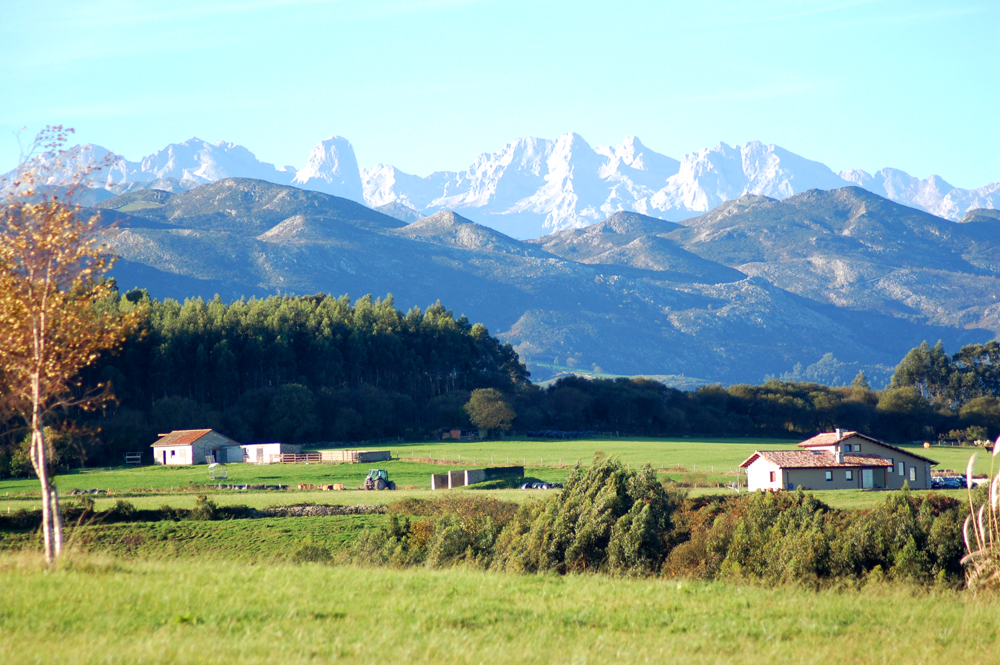 Picos views from the coast (Pimiango village)